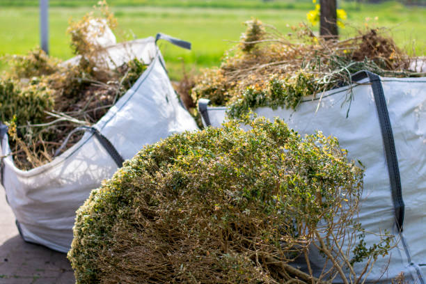 Best Dumpster Rental Services  in Mount Carroll, IL